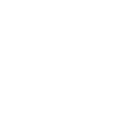 Single Hung Windows